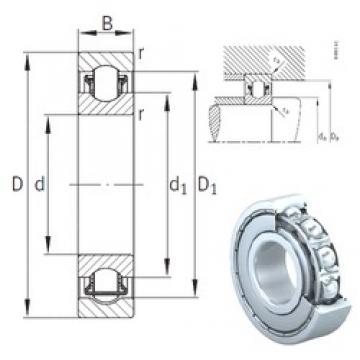 INA BXRE000-2Z needle roller bearings