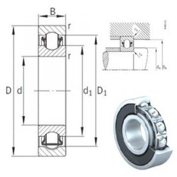 INA BXRE000-2RSR needle roller bearings