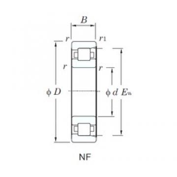 KOYO NF221 cylindrical roller bearings