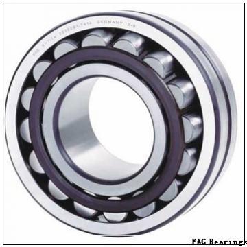 FAG 6007-2Z deep groove ball bearings