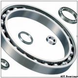 AST GEWZ101ES-2RS plain bearings